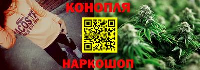 гидропоника Пугачёв