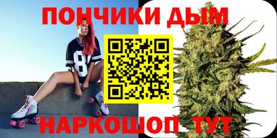 гидропоника Пугачёв