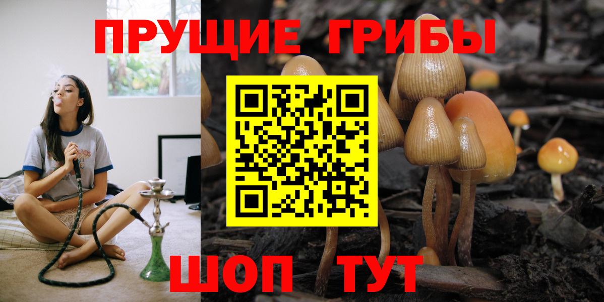 Псилоцибиновые грибы прущие грибы  Вход с VPN  Печора  Псилоцибиновые грибы мицелий 